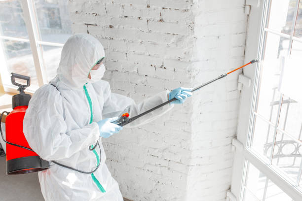 Best Biohazard Mold Removal  in Dover, DE